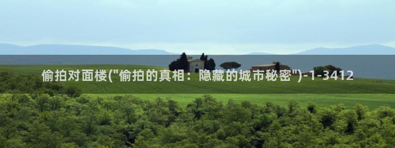 新车国六被拍尾气超标