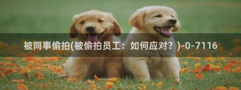 中国性视频偷拍