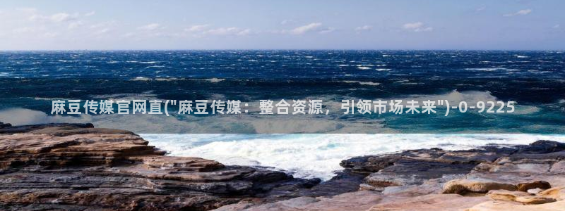 麻豆专题描述