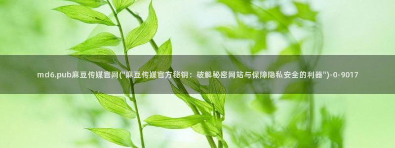 麻豆视频分类