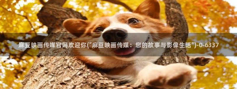 麻豆视频页面描述：麻豆映画传媒官网欢迎你(\