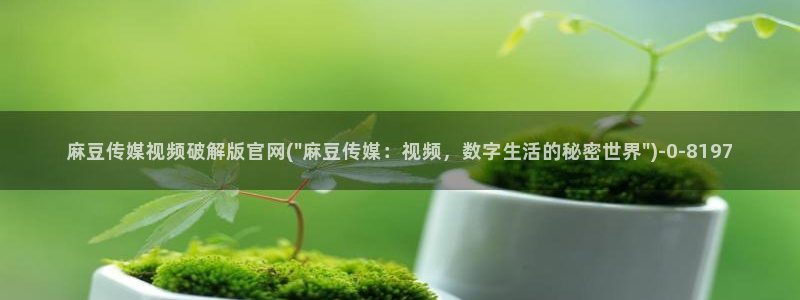 麻豆视频原创文案：麻豆传媒视频破解版官网(\