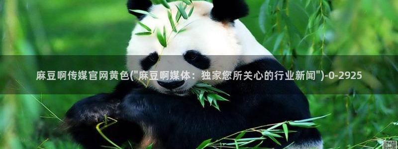 麻豆影视