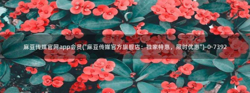 麻豆视频站内文案