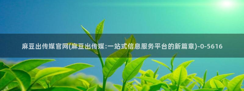 麻豆剧情解析