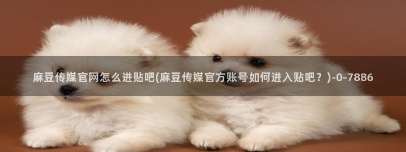麻豆观看标题