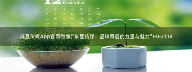 麻豆演员描述