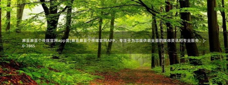 麻豆视频模板标签