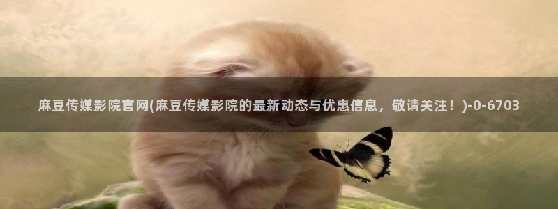 麻豆演员资料
