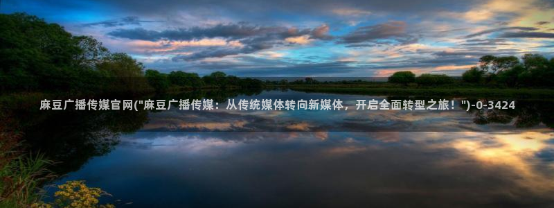 麻豆视频文章标题：麻豆广播传媒官网(\