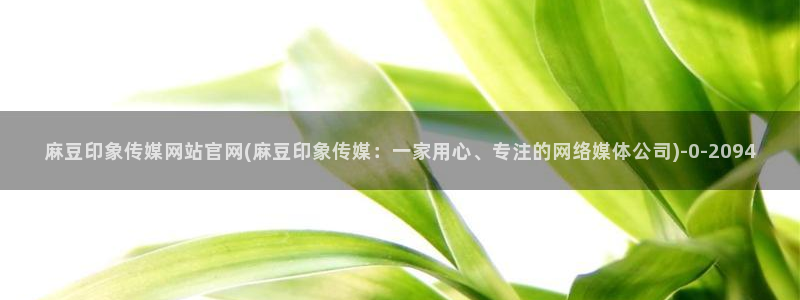 麻豆关键词库：麻豆印象传媒网站官网(麻豆印象传媒：一家用心、专注的网络媒