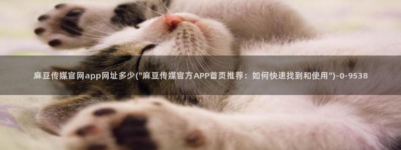 麻豆视频专题
