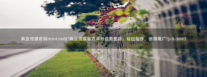 麻豆视频高流量词