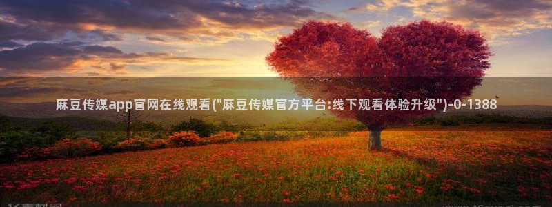麻豆视频图片规则：麻豆传媒app官网在线观看(\