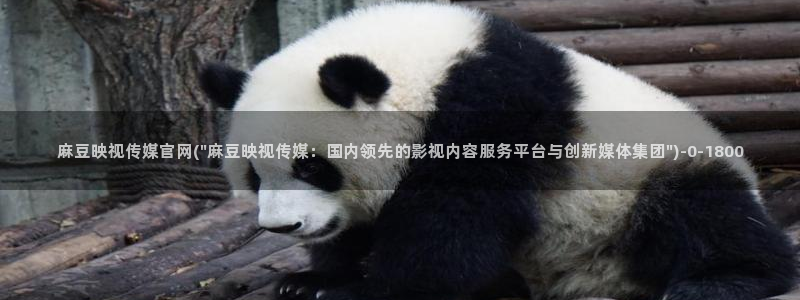 麻豆视频：麻豆映视传媒官网(\