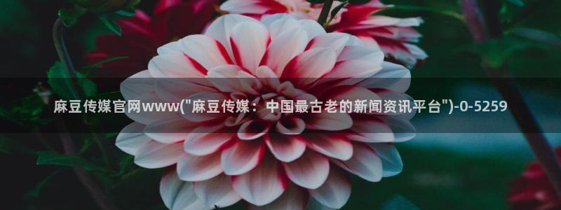 麻豆视频原创文案：麻豆传媒官网www(\