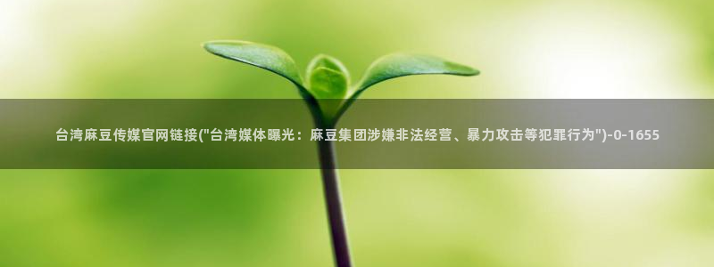 麻豆视频SEO词库