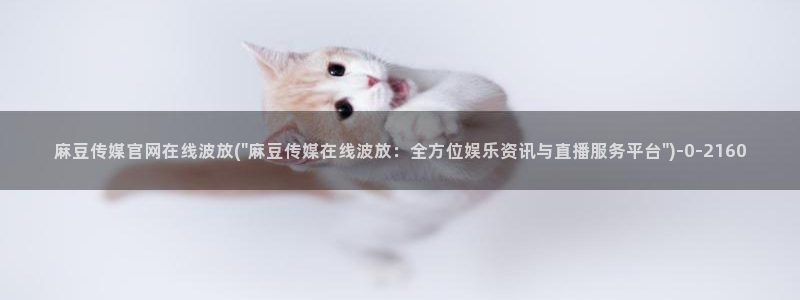 麻豆视频目录