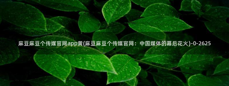 麻豆视频