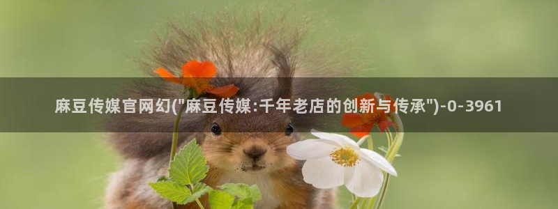麻豆榜单描述