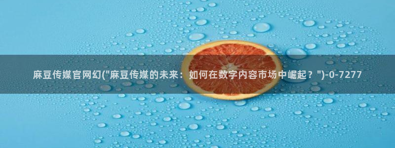 麻豆视频分类规则