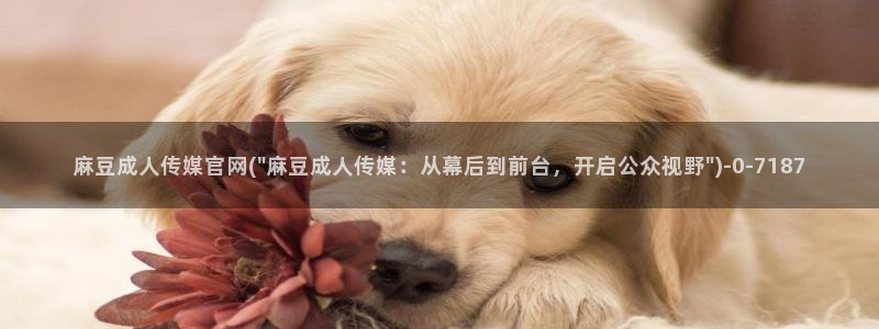 麻豆视频联系页面