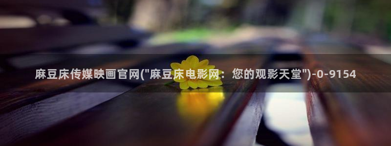 麻豆视频用户体验