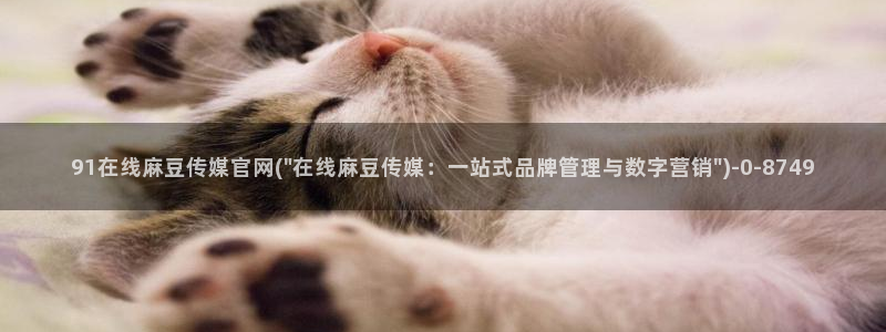 麻豆视频SEO词库
