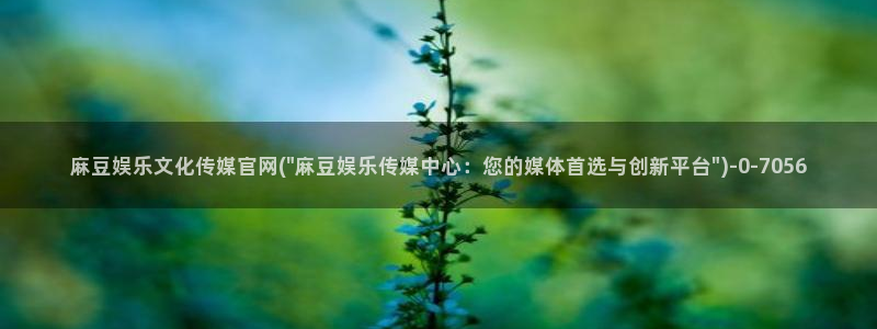 麻豆精选描述