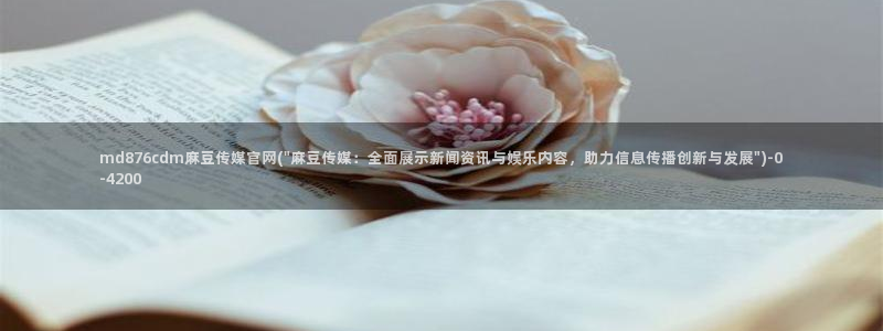麻豆视频内容维护