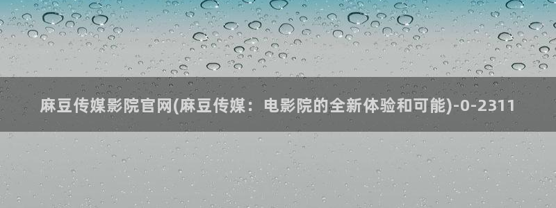 麻豆视频用户体验