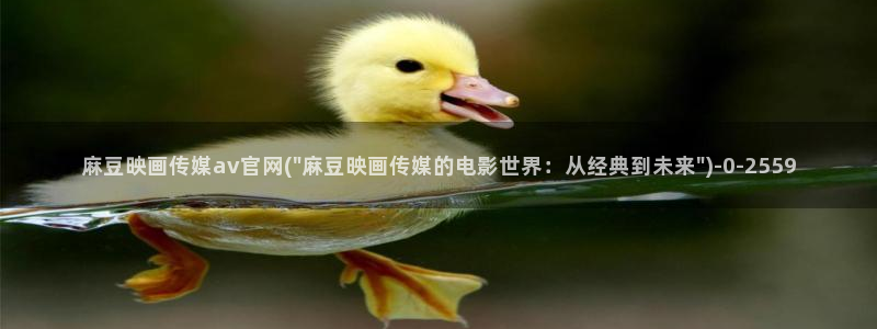 麻豆演员图鉴